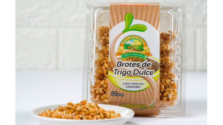 Tradicionales antojitos mexicanos acompañados de germinados