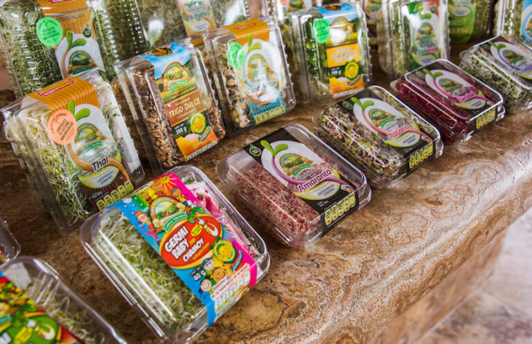 ¡Come germinados y dale a tu cuerpo el empuje que necesita!