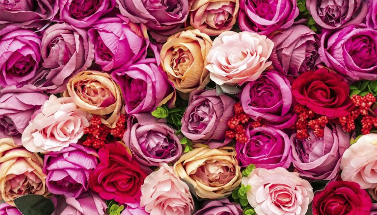 Canaco CDMX prevé derrama económica de más de 5 mil mdp por San Valentín