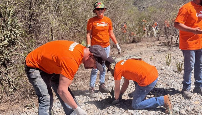 Cargill de México contribuye a la conservación de bosques con Reforestamos México