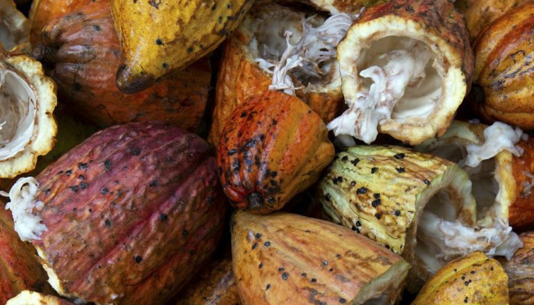 ANPEC estima que el precio del chocolate se duplicará