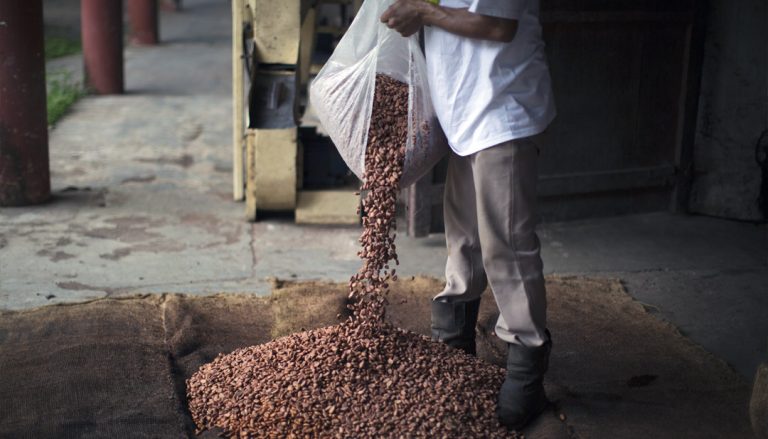 Campo Vivo obtiene certificación como empresa B
