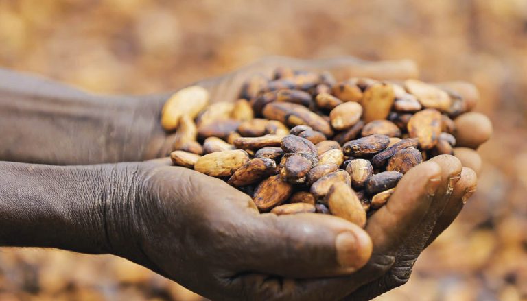 La industria del chocolate eleva sus estándares en 2024, pero persisten los desafíos