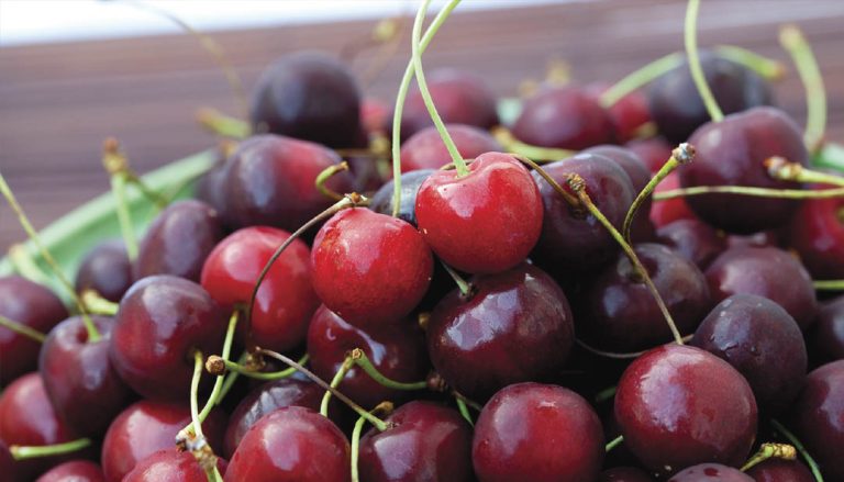 Llegó el verano, y con él, las Cerezas del Noroeste
