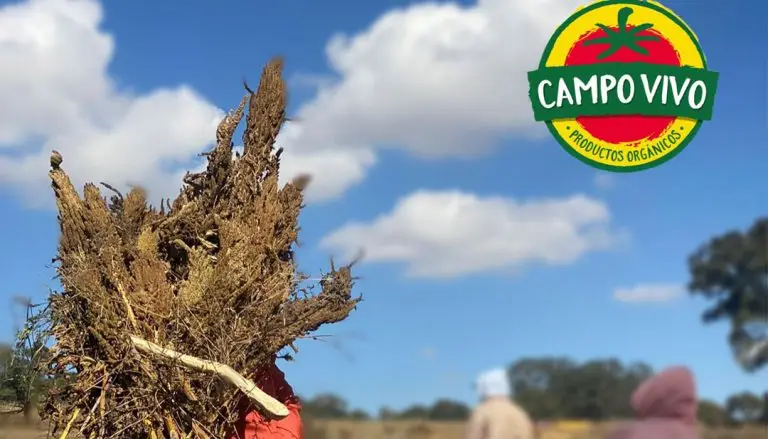 Campo Vivo lanza nuevos productos orgánicos